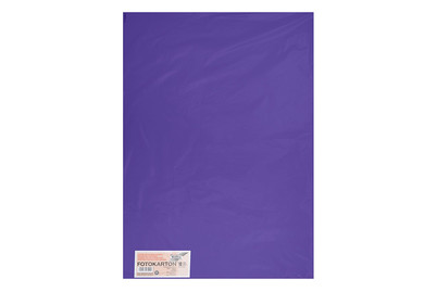 Image of Tonkarton 50x70CM dunkelviolett bei JUMBO
