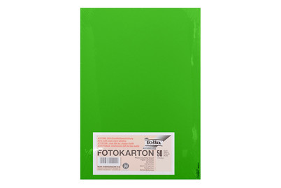 Image of Tonkarton A4 grasgrün