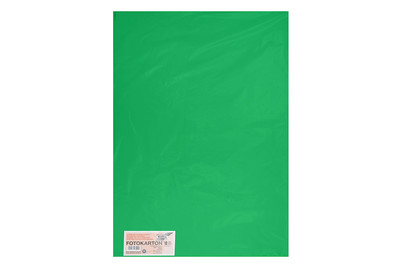 Image of Tonkarton 50x70CM smaragdgrün