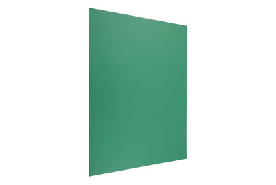 Image of Tonkarton 50x70CM tannengrün bei JUMBO
