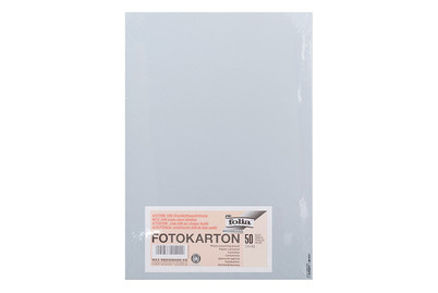 Image of Tonkarton A4 hellgrau bei JUMBO