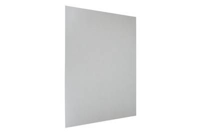 Image of Tonkarton 50x70CM silber bei JUMBO