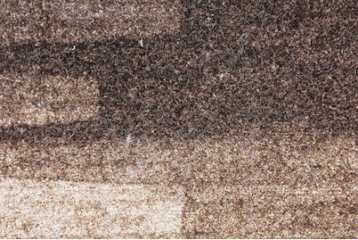 Image of Läufer Veneto braun 67 cm bei JUMBO