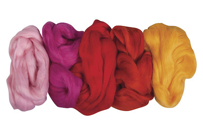Image of Reine Schurwolle -Kammzug, 5 Farben à 25g, SB-Btl 125g bei JUMBO