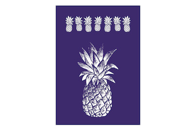 Image of Siebdruck-Schablone Ananas, DIN A4, 1 Schabl. + Rakel, SB-Btl 1Stück bei JUMBO