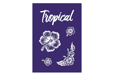 Image of Siebdruck-Schablone Hibiskus, DIN A5, 1 Schabl.+1 Rakel im SB-Btl. bei JUMBO