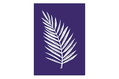 Image of Siebdruck-Schablone Palmenblatt, DIN A5, 1 Schabl.+1 Rakel im SB-Btl. bei JUMBO