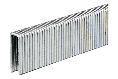 Image of Einhell Klammern 3000 Stück 5x13mm bei JUMBO