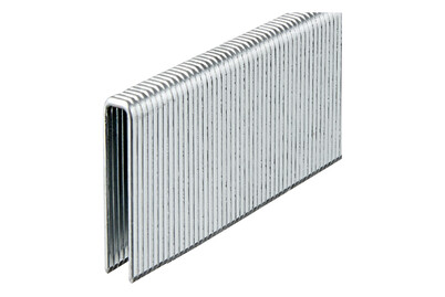 Image of Einhell Klammern 3000 Stück 5 x 40mm bei JUMBO