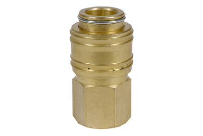 Image of Einhell Schnellkupplung R1/4 IG bei JUMBO