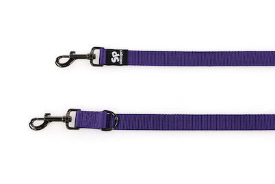 Image of TrendLine ONE Führleine, 1.5cm breit, violett bei JUMBO