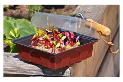 Image of Windhager Fensterbank-Treibhaus Midi bei JUMBO