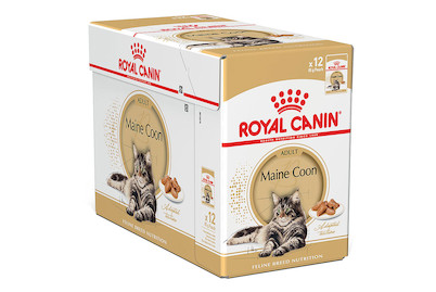 Image of Royal Canin FBN Mainecoon 12x85g
