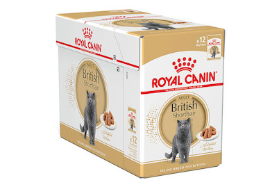Image of Royal Canin FBN Brit. Short. 12x85g bei JUMBO