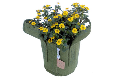 Image of Root Pouch Pflanzsack Ø 35 CM grün bei JUMBO