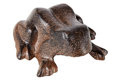 Image of Frosch Adria bei JUMBO