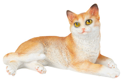 Image of Home and More Katze Nerola bei JUMBO