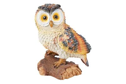 Image of Home and More Eule Nerola bei JUMBO