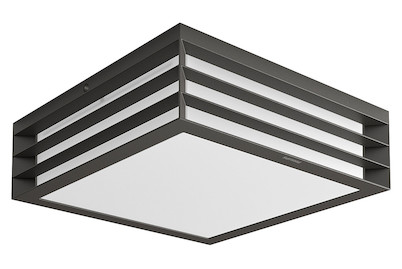 Image of Philips Deckenleuchte 2x 14W anthrazit bei JUMBO