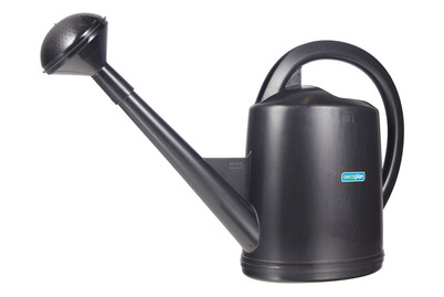 Image of Oecoplan Giesskanne 10 L bei JUMBO