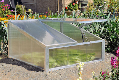 Image of Pult-Frühbeetkasten bei JUMBO