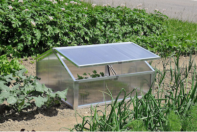 Image of First-Frühbeetkasten bei JUMBO