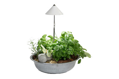 Image of SUNLiTE weiss bei JUMBO