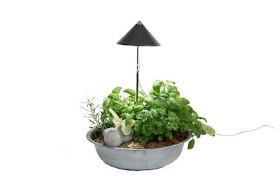 Image of SUNLiTE grau bei JUMBO