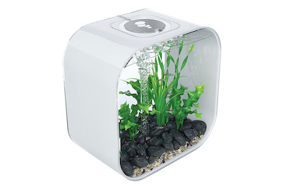 Image of biOrb Life 30 MCR weiss bei JUMBO