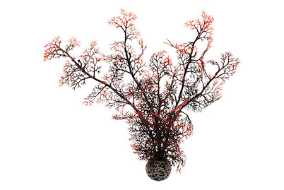 Image of biOrb Hornkorallen mittelgr. dunkelrot bei JUMBO