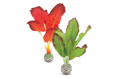 Image of biOrb Seidenpflanzen Set kl. grün&rot