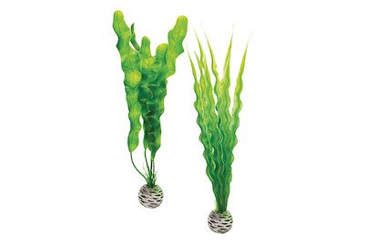 Image of biOrb Pflanzen Set mittelgross grün