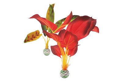 Image of biOrb Seidenpflanzen Set gross grün/rot bei JUMBO