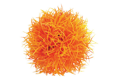 Image of biOrb Gewächsball orange