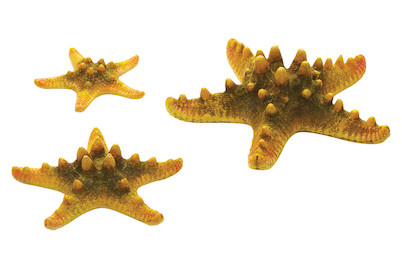 Image of biOrb Seestern Set 3 gelb bei JUMBO