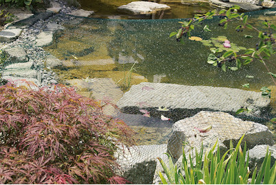 Image of Laubschutznetz 6 x 10m bei JUMBO