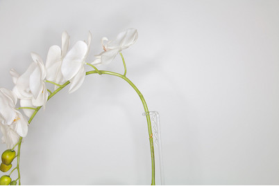 Image of Rispenhalter Spiral down bei JUMBO