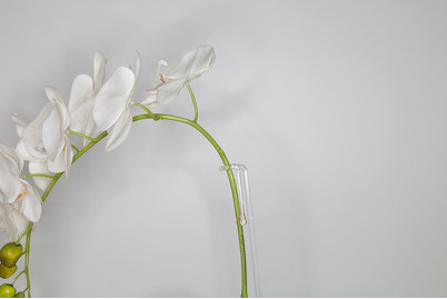 Image of Rispenhalter Drip bei JUMBO