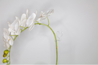 Image of Rispenhalter Heart bei JUMBO