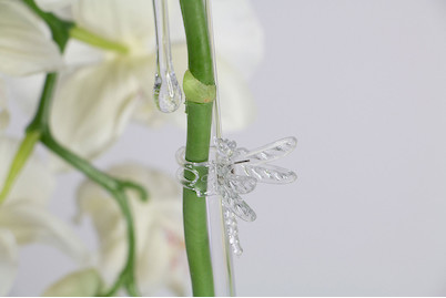 Image of Rispenclips Dragonfly bei JUMBO