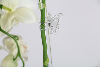 Image of Rispenclips Butterfly bei JUMBO