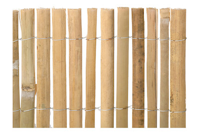 Image of Videx Sichtschutzmatte Shanghai Bambus 90x300 cm