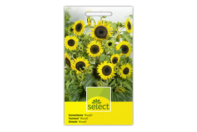 Image of Select SonnenblumeWahoo bei JUMBO