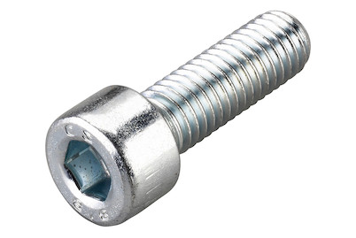 Image of Zylinder Metallschrauben znb, M 10X80 100 Stk