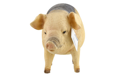 Image of Schwein Charlie 26x10.5x15.5CM rosa bei JUMBO