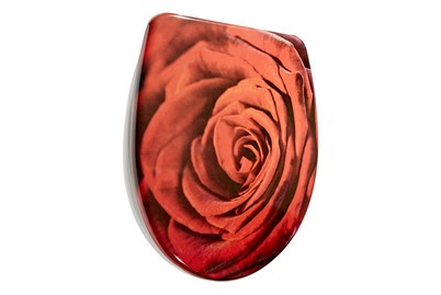 Image of diaqua® WC-Sitz Nice Slow Down Rose bei JUMBO