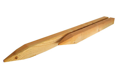 Image of Pfosten Douglasie bei JUMBO