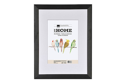 Image of Alurahmen L2 40x50 schwarz bei JUMBO