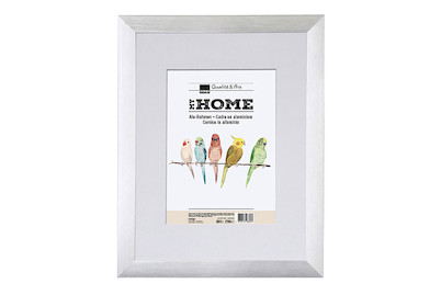 Image of Alurahmen L2 40x50 silber bei JUMBO