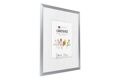 Image of Alurahmen L2 50x70 silber bei JUMBO